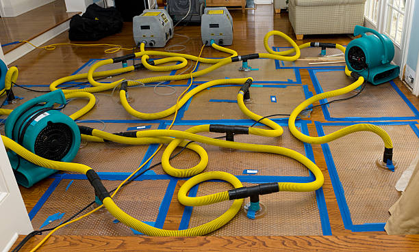 Professional Water Extraction technician working in Grawn, MI